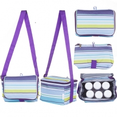 Autumnz - Fun Foldaway Cooler Bag (Roman Stripes)